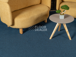 Haima Atom 07 Blue фото 9 | FLOORDEALER